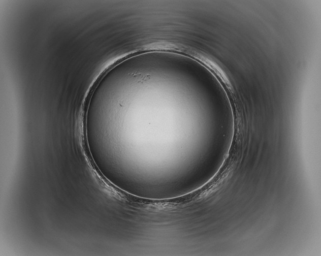 X0000116681000200912141428