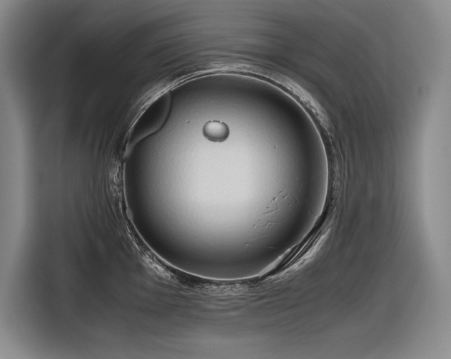 X0000116681001200912141428