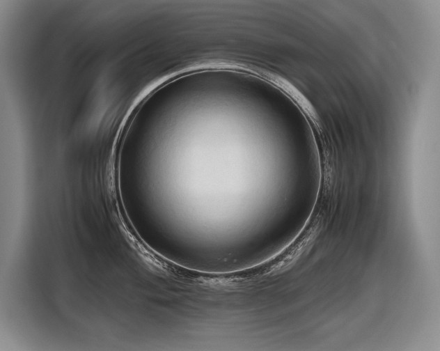 X0000116681004200912141428