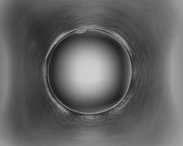 X0000116681005200912141428