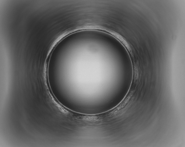 X0000116681006200912141428