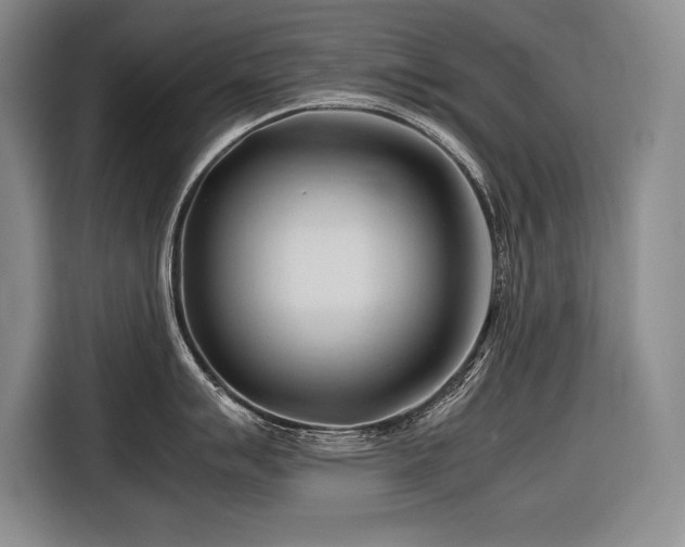 X0000116681007200912141428