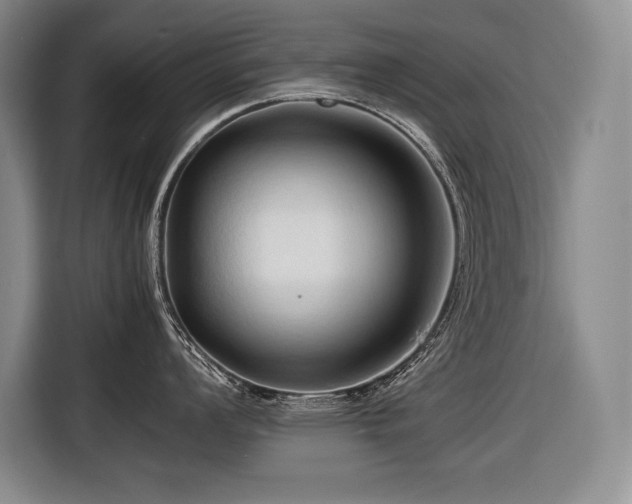 X0000116681008200912141428
