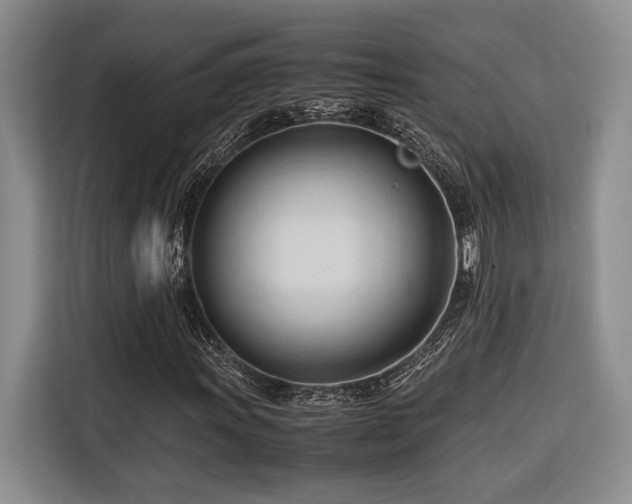 X0000116681011200912141427