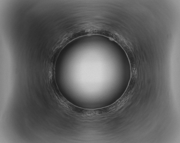 X0000116681012200912141427