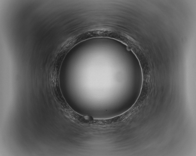 X0000116681014200912141427