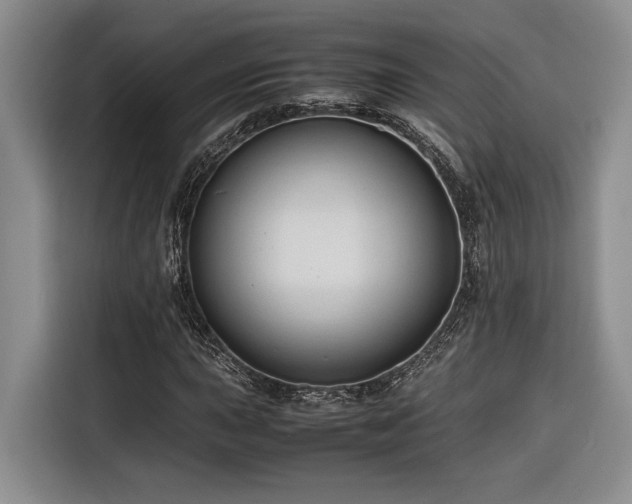 X0000116681015200912141427