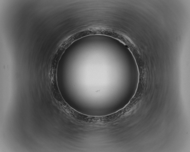 X0000116681016200912141427