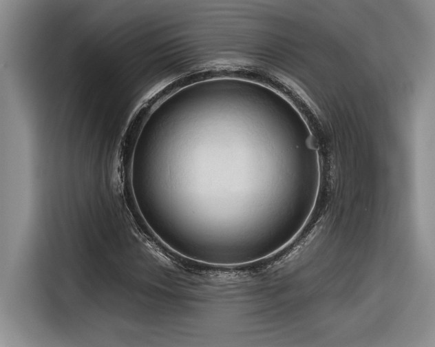 X0000116681018200912141427