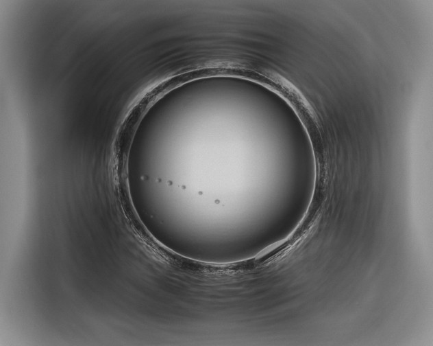 X0000116681019200912141427