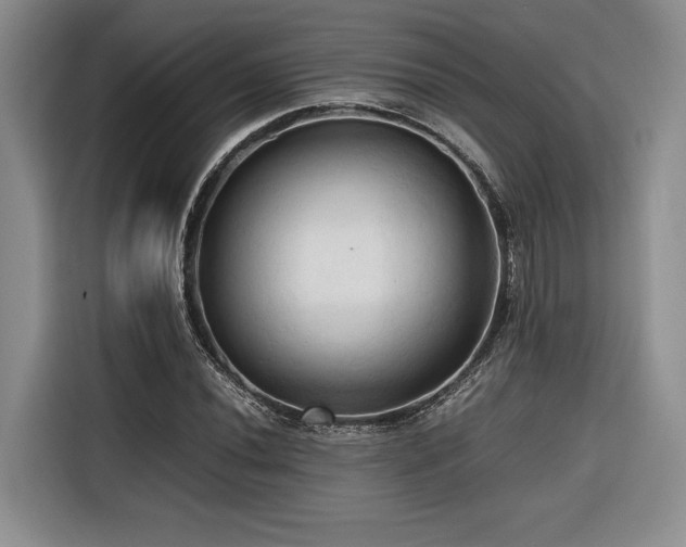 X0000116681020200912141428