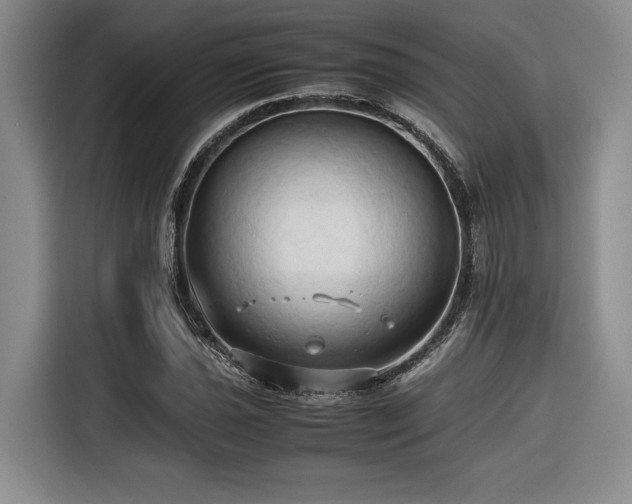 X0000116681021200912141428