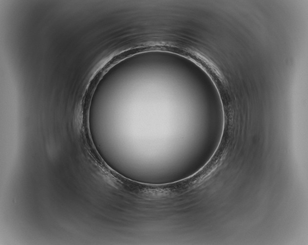 X0000116681023200912141428