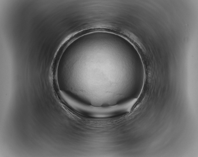 X0000116681024200912141428