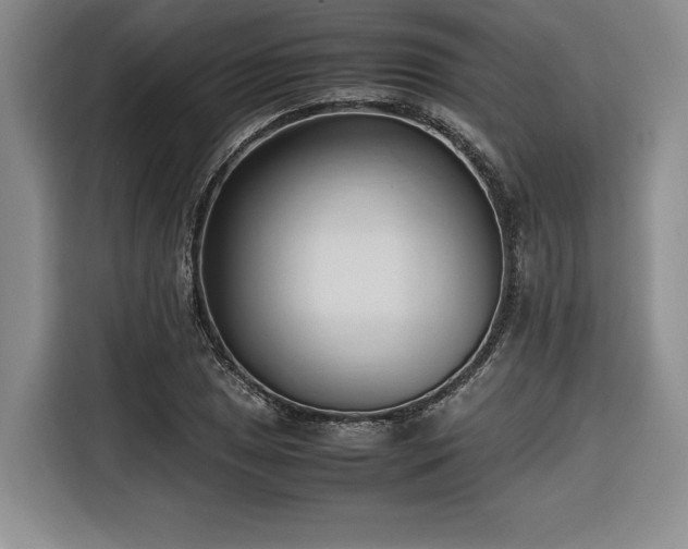 X0000116681025200912141428