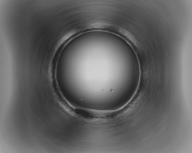 X0000116681026200912141428