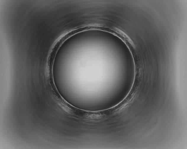 X0000116681027200912141428