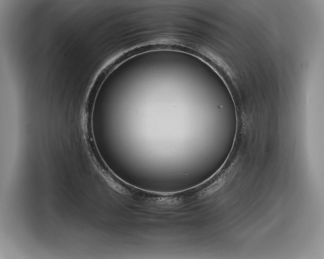 X0000116681029200912141428