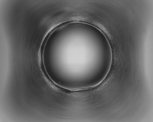 X0000116681032200912141428