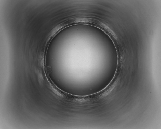 X0000116681033200912141428