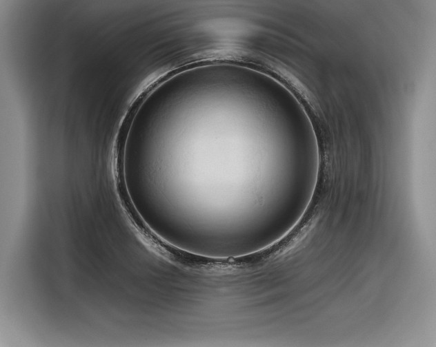 X0000116681034200912141428