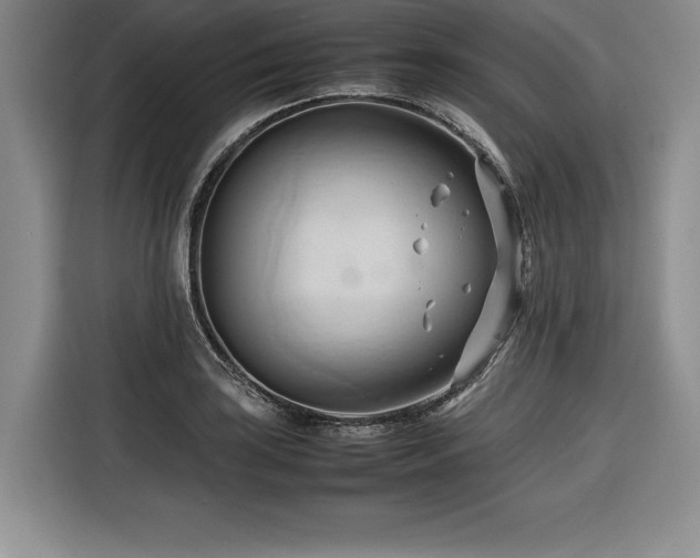 X0000116681035200912141428
