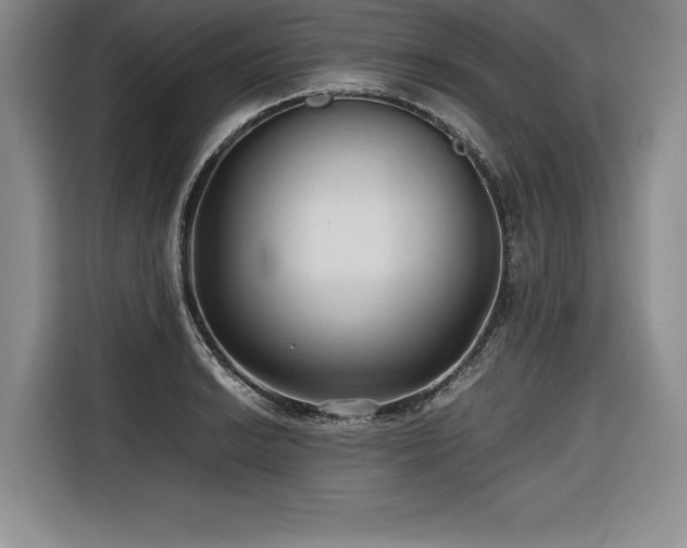 X0000116681038200912141428