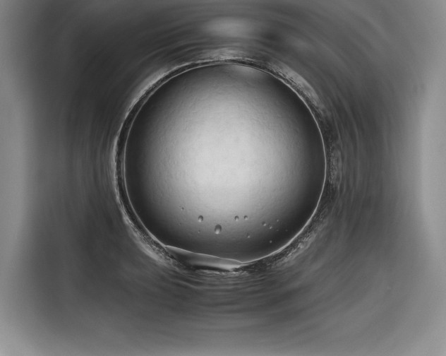 X0000116681039200912141428