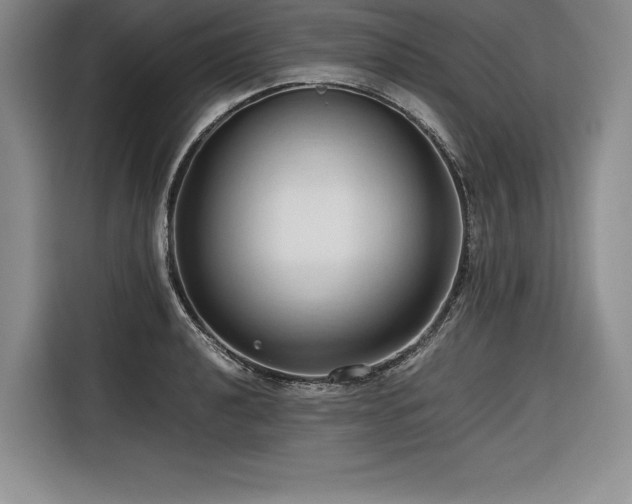 X0000116681040200912141428