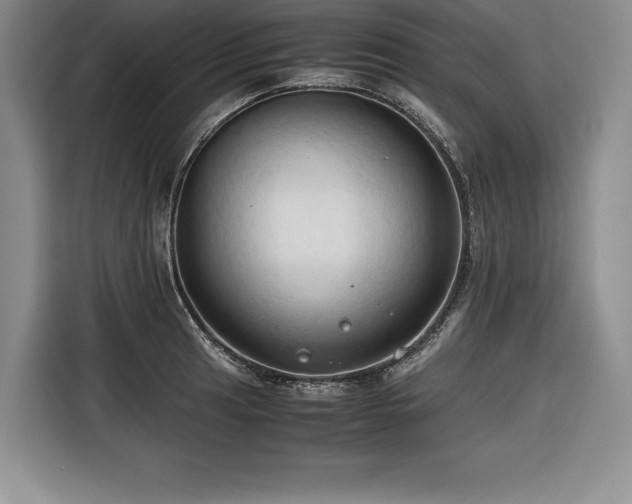 X0000116681041200912141428