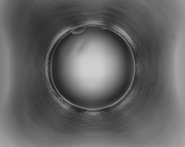 X0000116681043200912141428