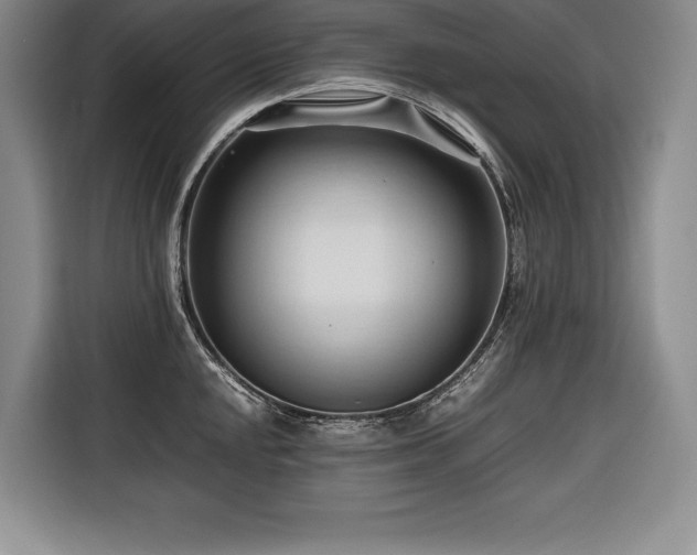 X0000116681048200912141428