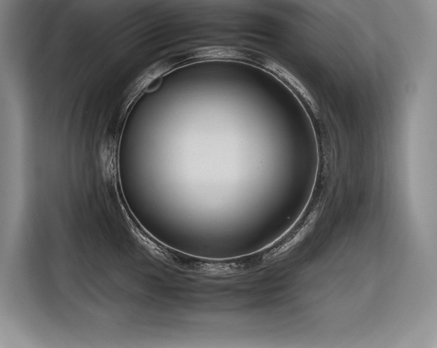 X0000116681049200912141428