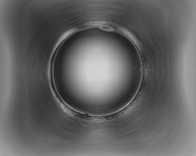 X0000116681050200912141428