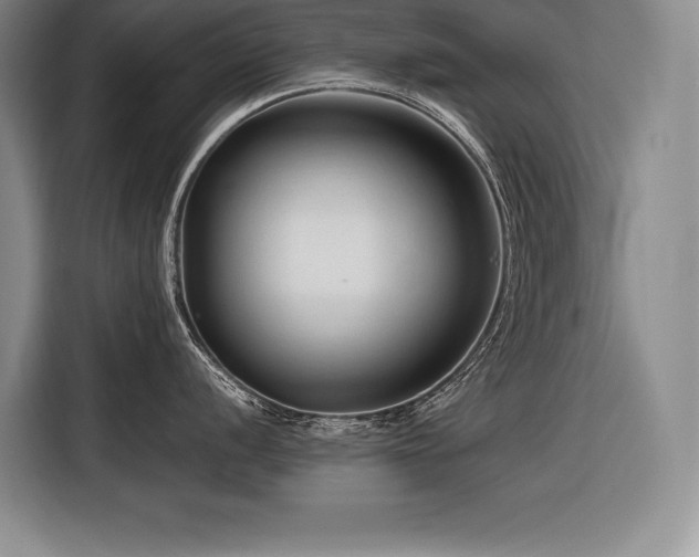 X0000116681056200912141428
