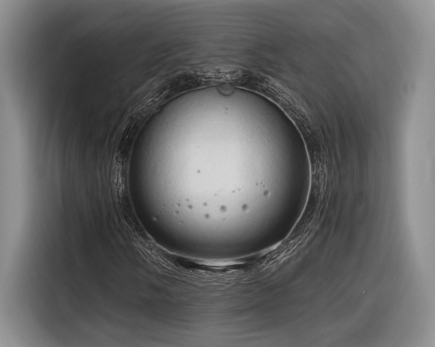 X0000116681058200912141427