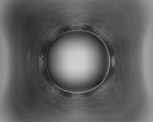X0000116681059200912141427