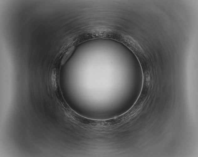 X0000116681060200912141427