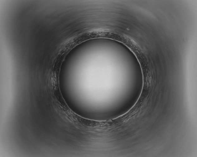 X0000116681062200912141427