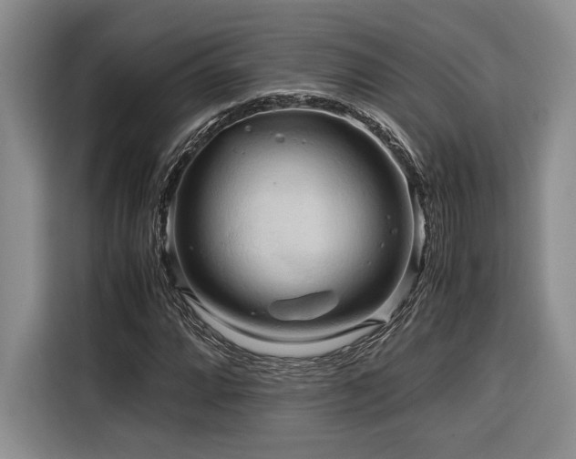 X0000116681064200912141427
