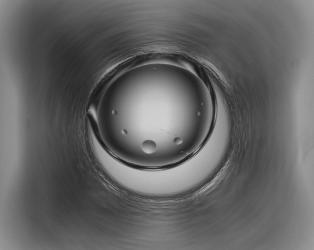 X0000116681065200912141427