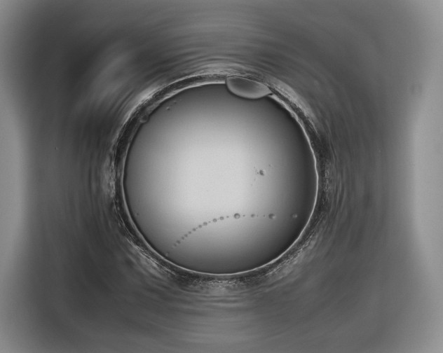 X0000116681067200912141427