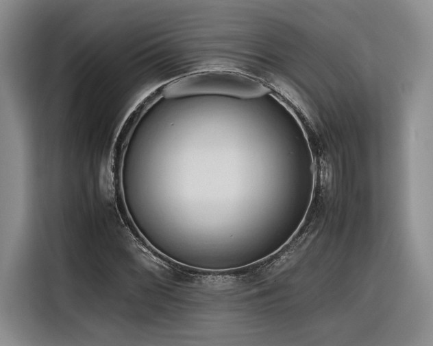 X0000116681068200912141427