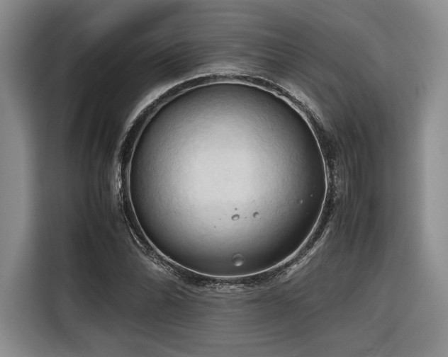 X0000116681070200912141427