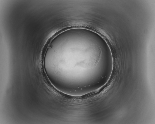 X0000116681071200912141427