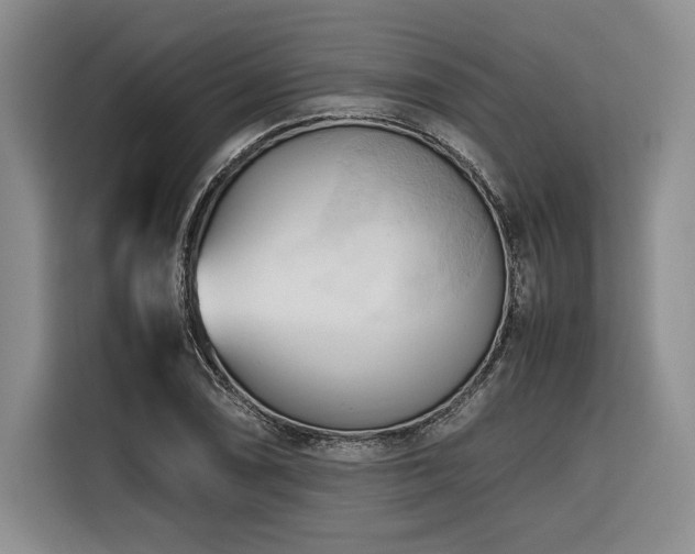 X0000116681074200912141427