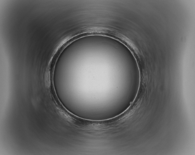 X0000116681075200912141427