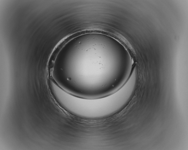 X0000116681076200912141427