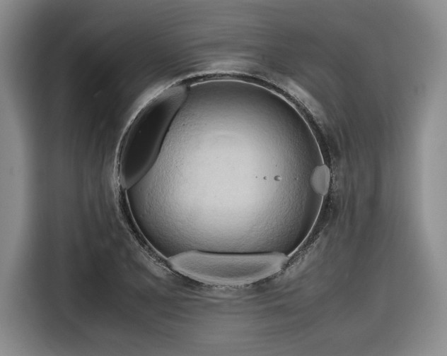X0000116681077200912141427