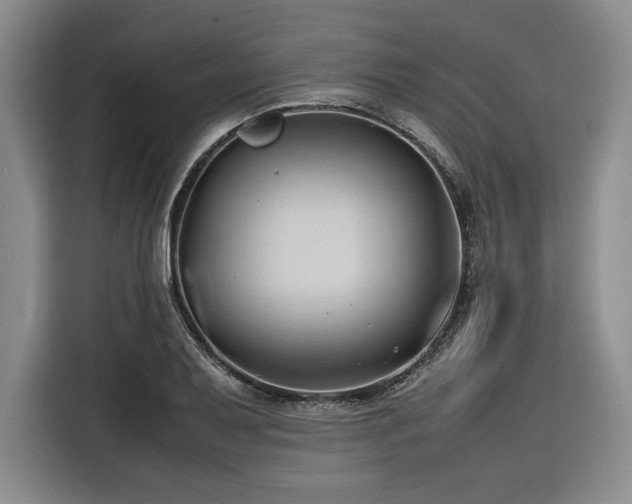 X0000116681079200912141427